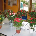art floral 2802(2)